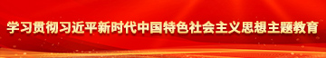 中国女人操逼日本大鸡巴学习贯彻习近平新时代中国特色社会主义思想主题教育